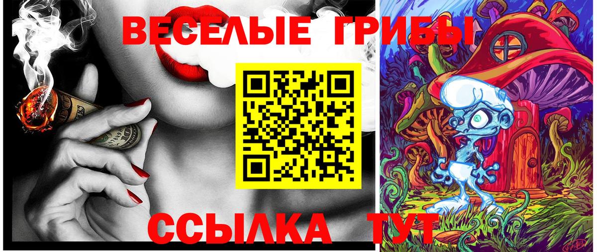 Приморско-Ахтарск  Галлюциногенные грибы ЛСД  Вход с VPN 