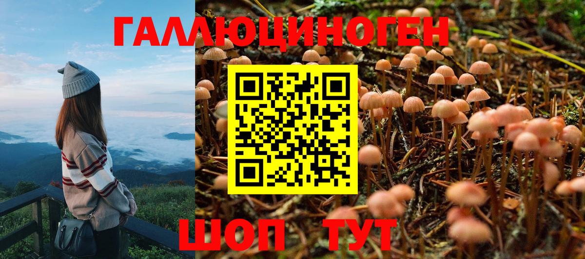 Бошки Шишки Приморско-Ахтарск